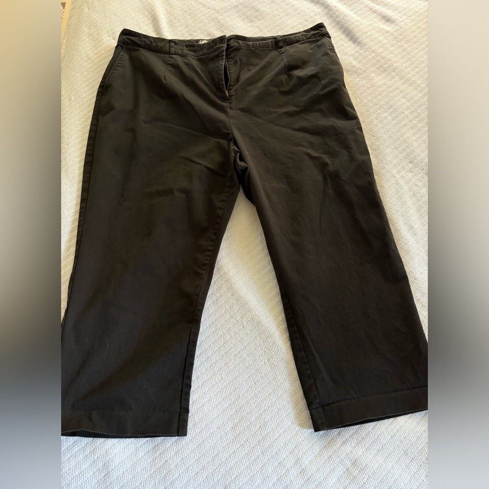 Kim Rodgers size 20W capris